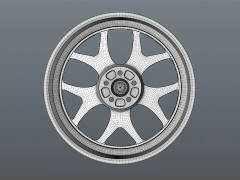 RAYS 2x5FT 3D Model