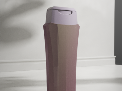 Bottle of Shampoo Model 3D