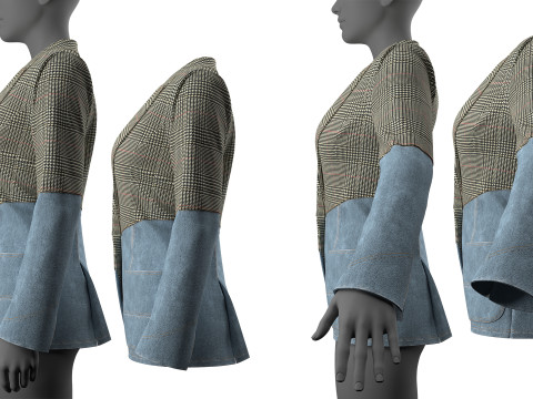 Asymmetric Denim-Tweed Jacket Modèle 3D