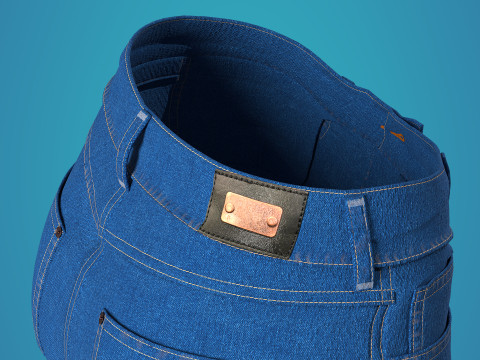 Blue Jean Fitted to Gen8 Body Mesh 3D Model