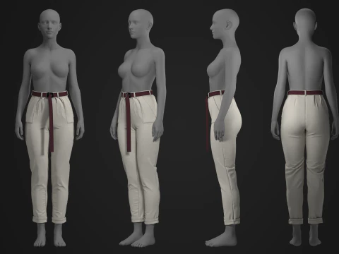Calça de lona com cinto Modelo 3D