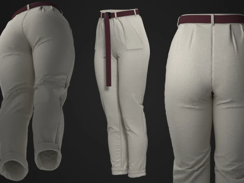 Canvas Pants with Belt 3D Model