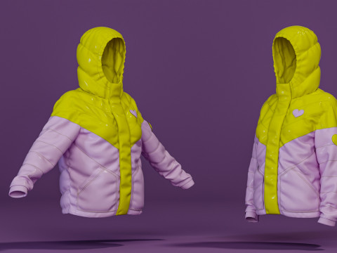 Colorblock Puff Jacket Modelo 3D