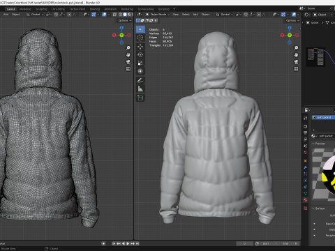 Colorblock Puff Jacket Modelo 3D