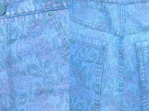 Floral Pattern Denim Shorts 3D Model