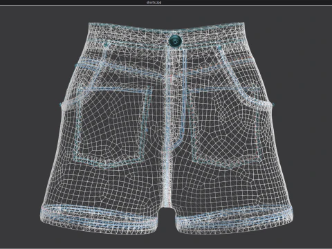 Floral Pattern Denim Shorts 3D Model