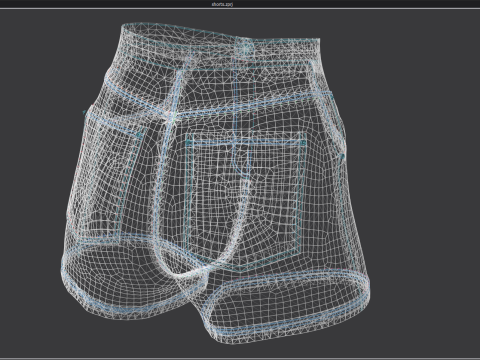 Floral Pattern Denim Shorts 3D Model