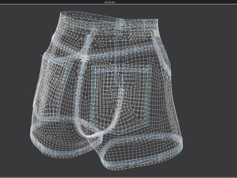 Floral Pattern Denim Shorts 3D Model