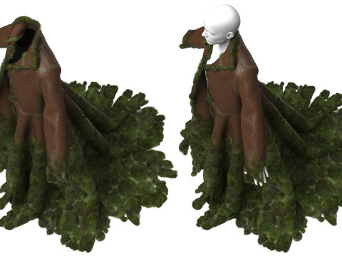 Mossy Coat Modello 3D
