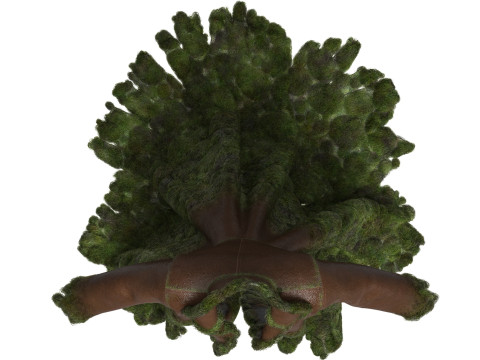Mossy Coat Modello 3D