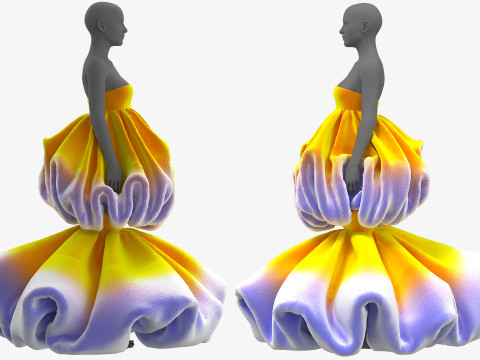 Two Layer Flower Dress 3D Модель