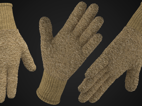 Fleece Gloves Modèle 3D
