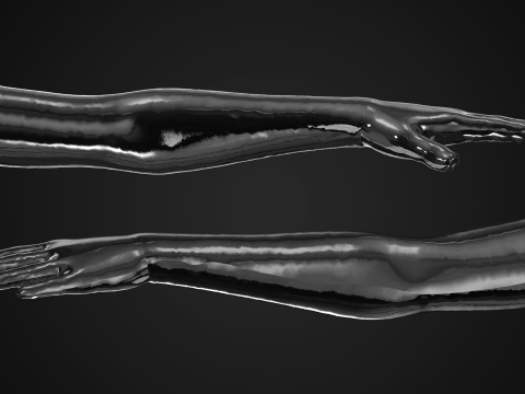 Latex Glove Modelo 3D
