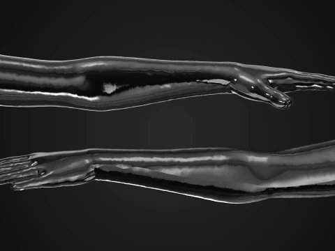 Latex Glove 3D Model