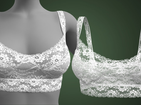Lace Bra Model 3D