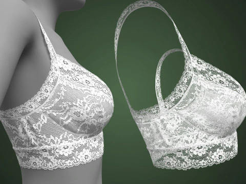 Lace Bra 3D Model