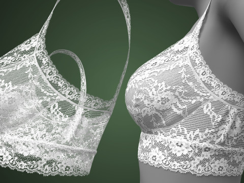 Lace Bra 3D Модель