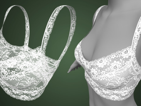 Lace Bra 3D Модель