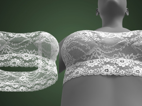 Lace Bra 3D Модель