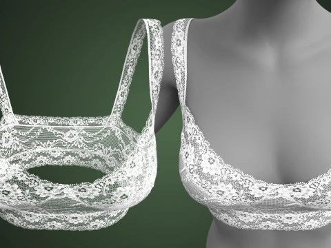 Lace Bra 3D Model