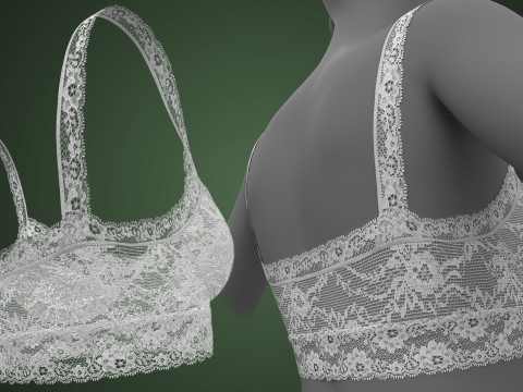 Lace Bra 3D Модель