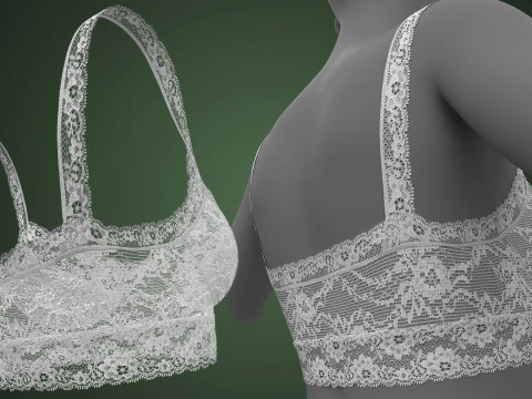 Lace Bra 3D Model