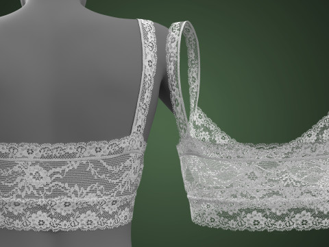 Lace Bra 3D Модель