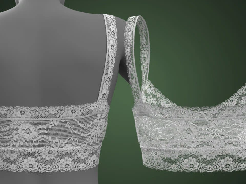 Lace Bra 3D Model