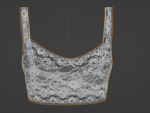 Lace Bra 3D Model