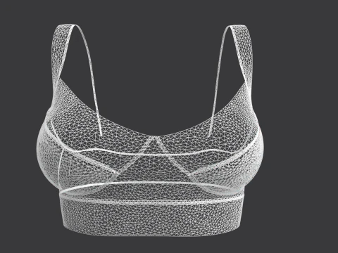 Lace Bra 3D Model