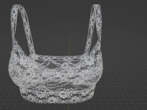 Lace Bra 3D Model