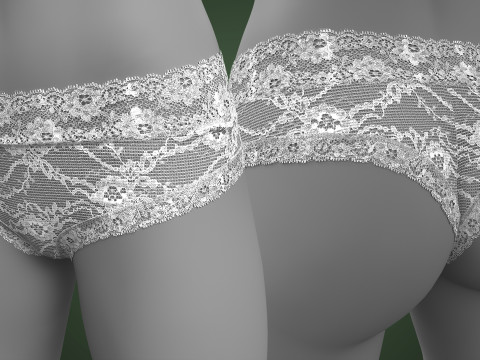 Lace Underwear 3D Модель