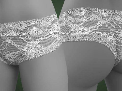 Lace Underwear 3D Model