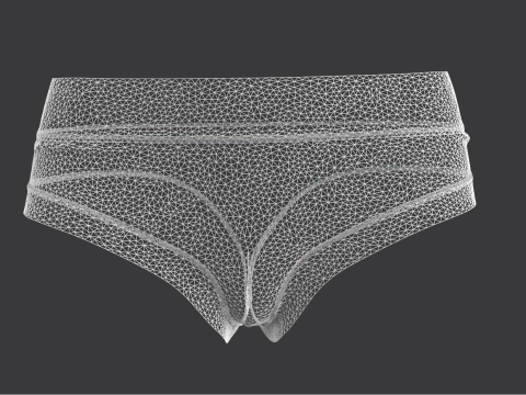 Lace Underwear 3D Модель
