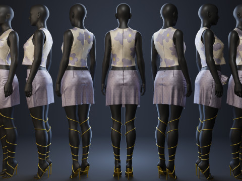 Silky Lilac Vest and Rose Draped Skirt with Golden Heels 3D 模型