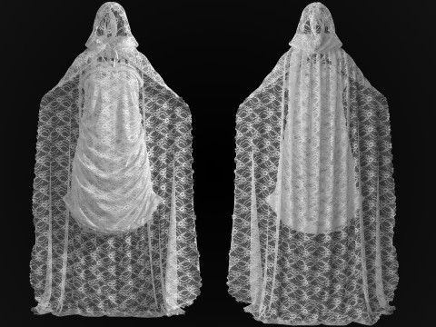 Hooded Cape and Lace Dress Modelo 3D