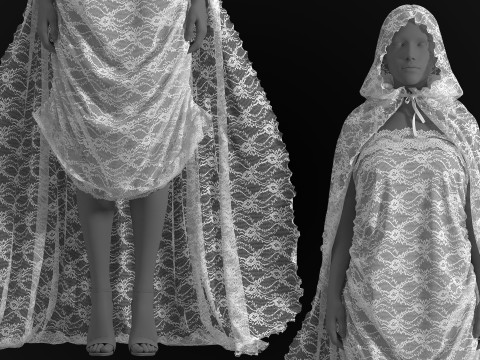 Hooded Cape and Lace Dress Modelo 3D