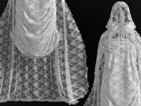 Hooded Cape and Lace Dress Modelo 3D