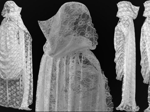 Hooded Cape and Lace Dress Modelo 3D
