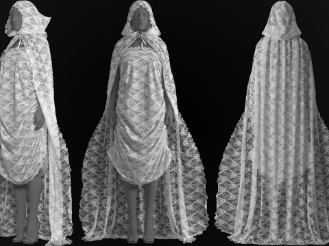 Hooded Cape and Lace Dress Modelo 3D