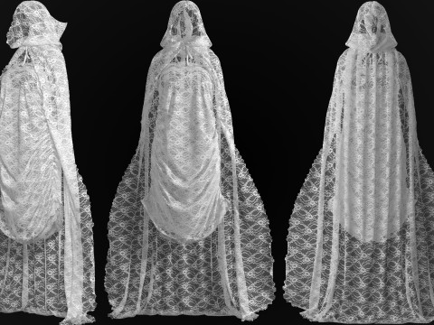 Hooded Cape and Lace Dress Modelo 3D
