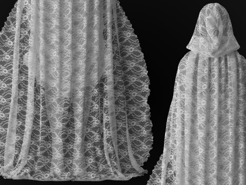 Hooded Cape and Lace Dress Modelo 3D