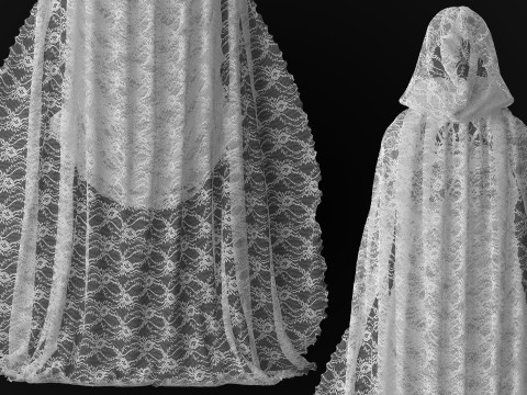 Hooded Cape and Lace Dress Modelo 3D