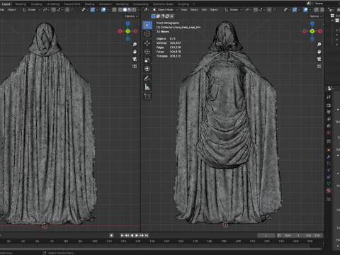 Hooded Cape and Lace Dress Modelo 3D