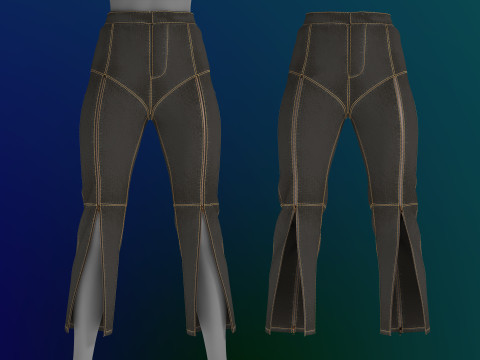 Zipper Detailed Jeans 3D Model