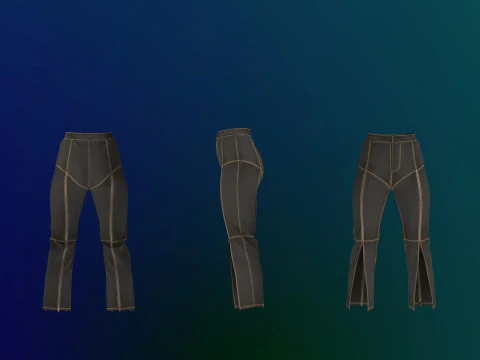 Zipper Detailed Jeans 3D Model