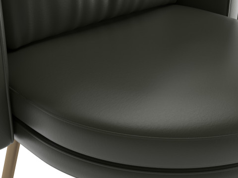 Torii Dining Swivel chair Model 3D
