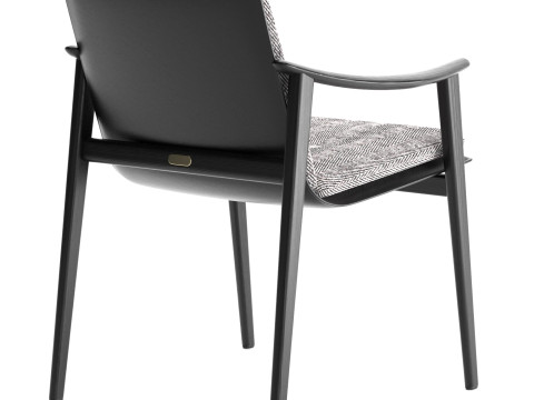 FYNN Dining Chair with cushion 3D 模型