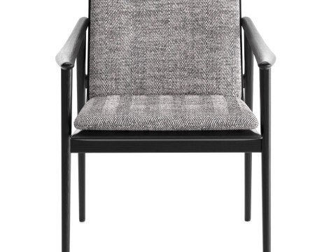 FYNN Dining Chair with cushion 3D 模型
