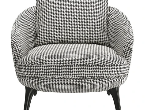 Raphael Armchair 3D Model